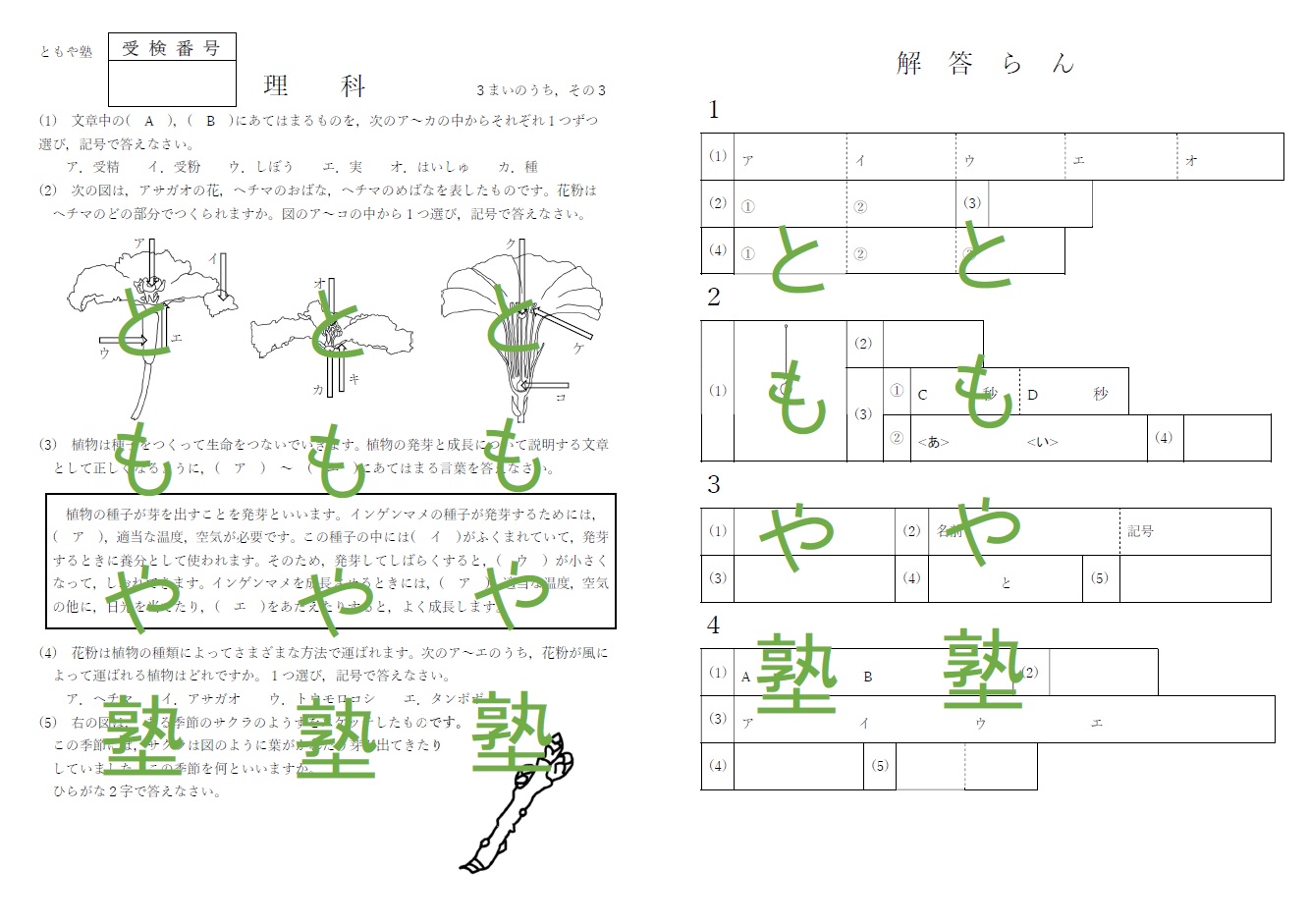 プリントサンプル 中学受験専門 ともや塾